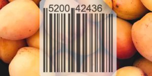 The Importance of Lot Traceability in the Food & Beverage Industry